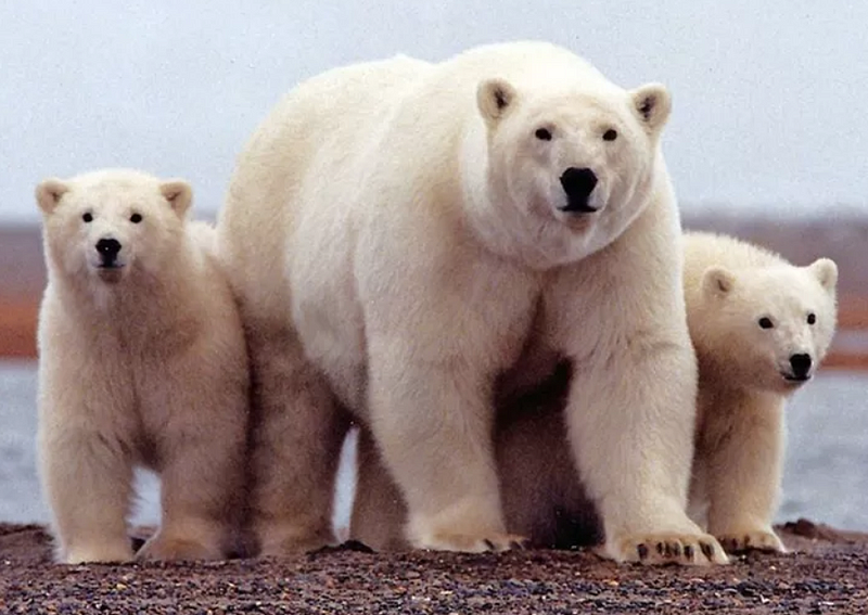 2023.08.14 Weekly Notes